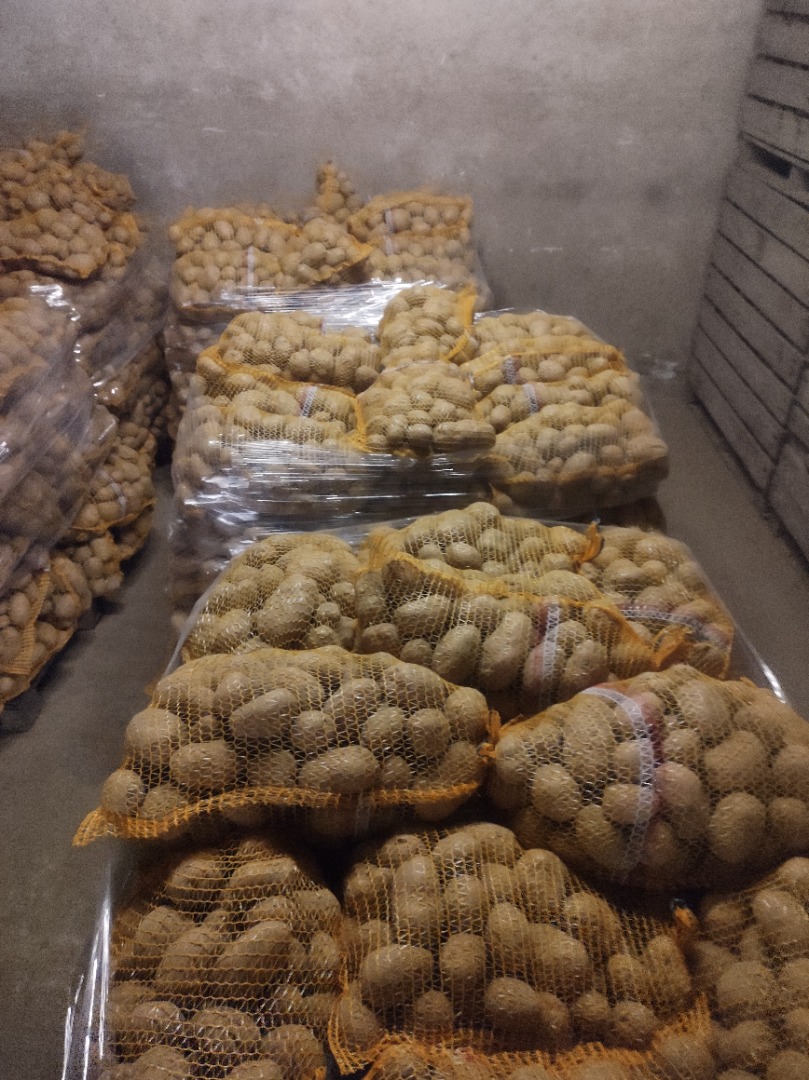 Vendo papas rojas bellarosa 45+ limpias sin cable Saco de 15kg En este momento están listos 200 sacos Para más información llamar al