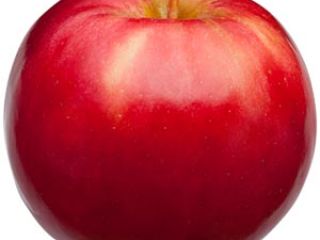 Manzanas reales frescas seleccionadas de muchos tipos y variedades