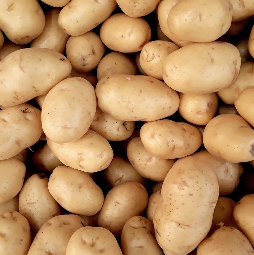 En cuanto a las patatas, cultivamos patatas Gallo en tonos espaciales durante sus estaciones