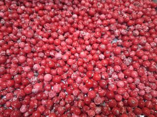 Ofrecemos manzanas de calidad de exportación de las variedades