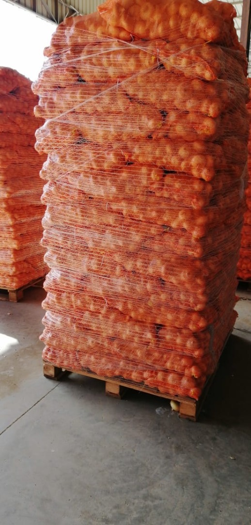 Somos una empresa de alshams para exportar todos los cultivos agrícolas de Egipto a todo el mundo