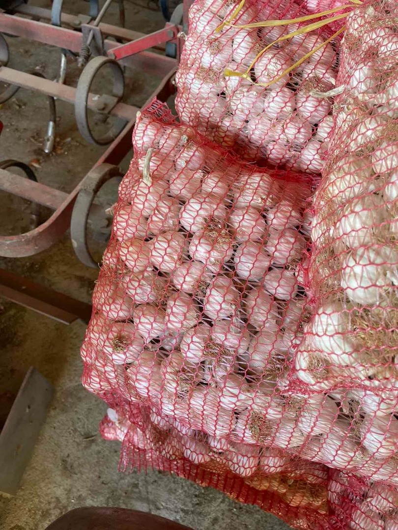 Venta de cebolleta blanca, producción nacional
