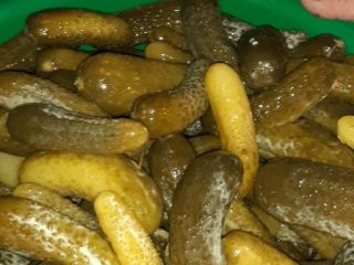 Pepinos encurtidos en salmuera, envasados en barriles de plástico