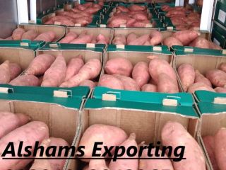 Somos ALshams para importación y exportación en general. Podemos