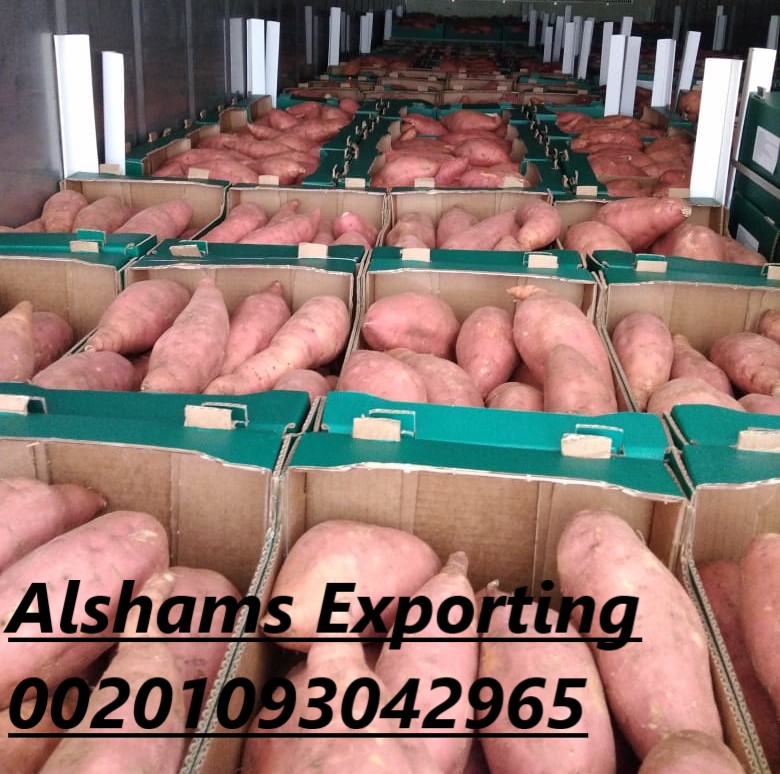 Somos ALshams para importación y exportación en general