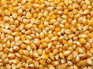 Humedad 14% Quebrado - 2.0 Mezcla de malezas -