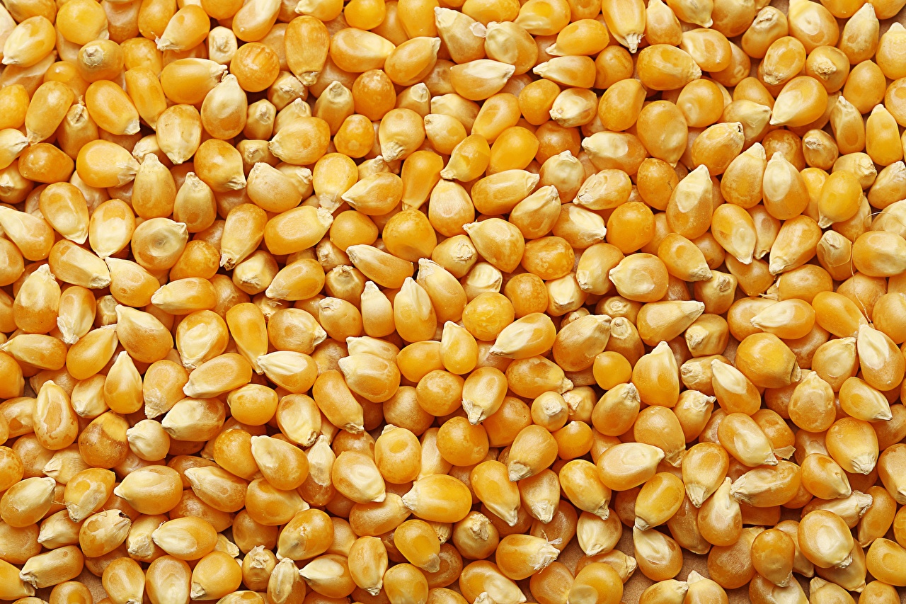 Humedad 14% Quebrado - 2.0 Mezcla de malezas - 2.11