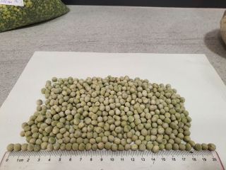 Vendo frijoles, arvejas, avena, garbanzos para siembra y consumo