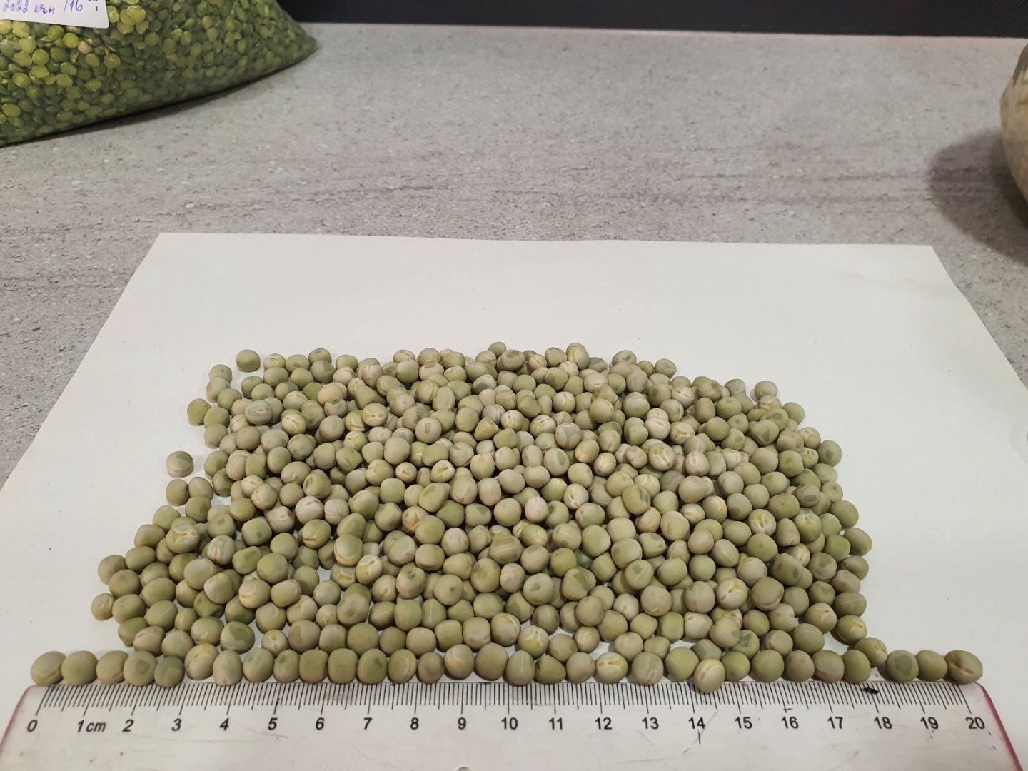 Vendo frijoles, arvejas, avena, garbanzos para siembra y consumo directo