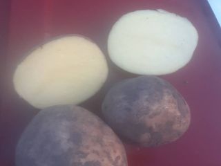 Hola señores voy a comprar patatas 200-250 t/mes. calibre