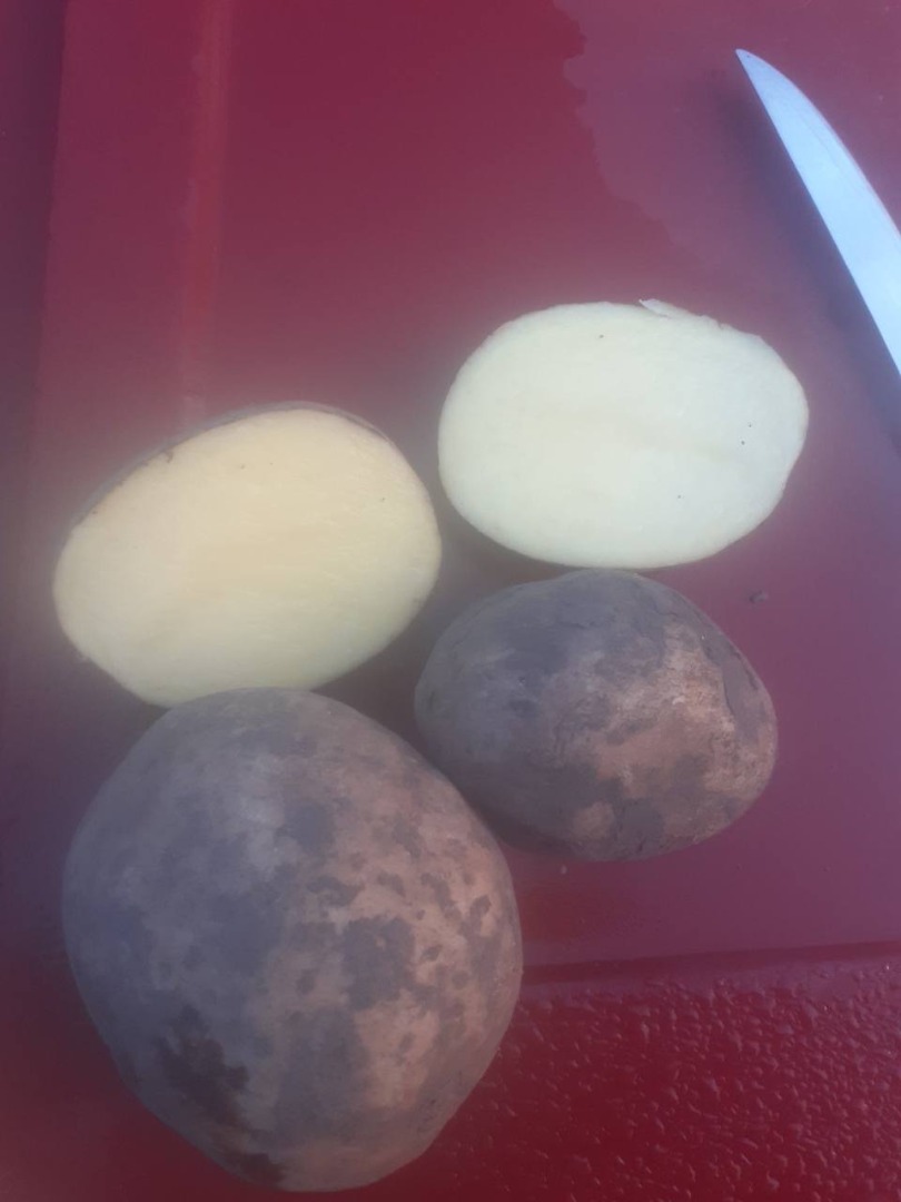 Hola señores voy a comprar patatas 200-250 t/mes