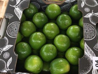 Las limas Persa o Tahití son de naturaleza sin