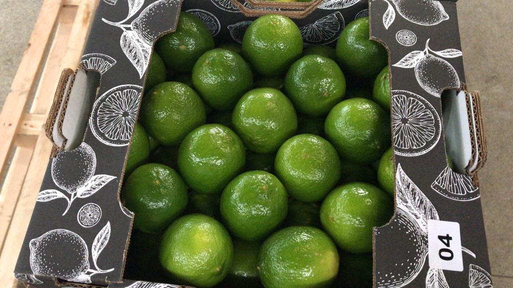 Las limas Persa o Tahití son de naturaleza sin semillas y se dividen en tres clases: Clase Extra, Clase I y Clase II