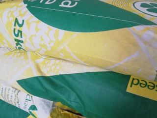 Hola Compre centeno Boyko. Hermoso grano después del material