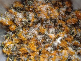 Tengo a la venta una flor de diente de