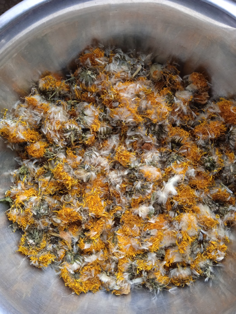 Tengo a la venta una flor de diente de león en la cantidad de unos 250 kg