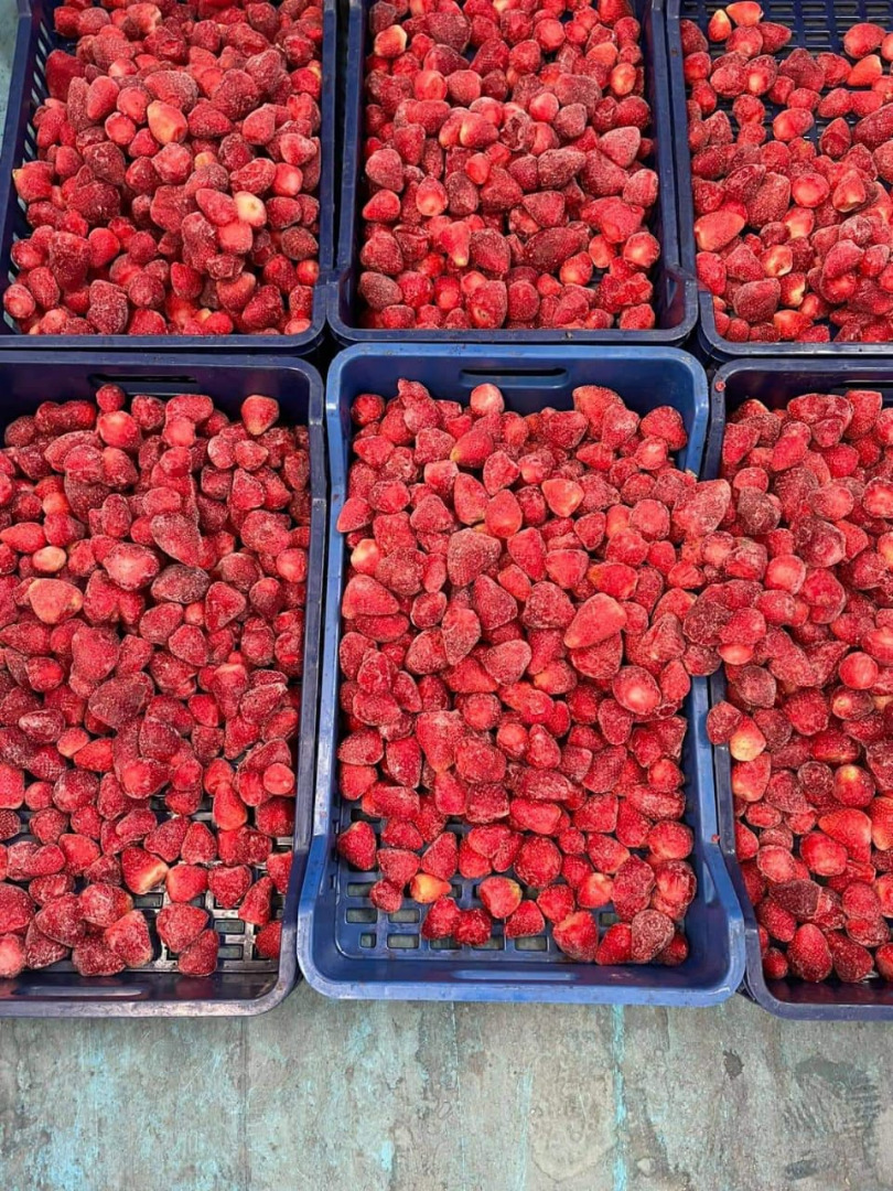 Venderé fresas congeladas