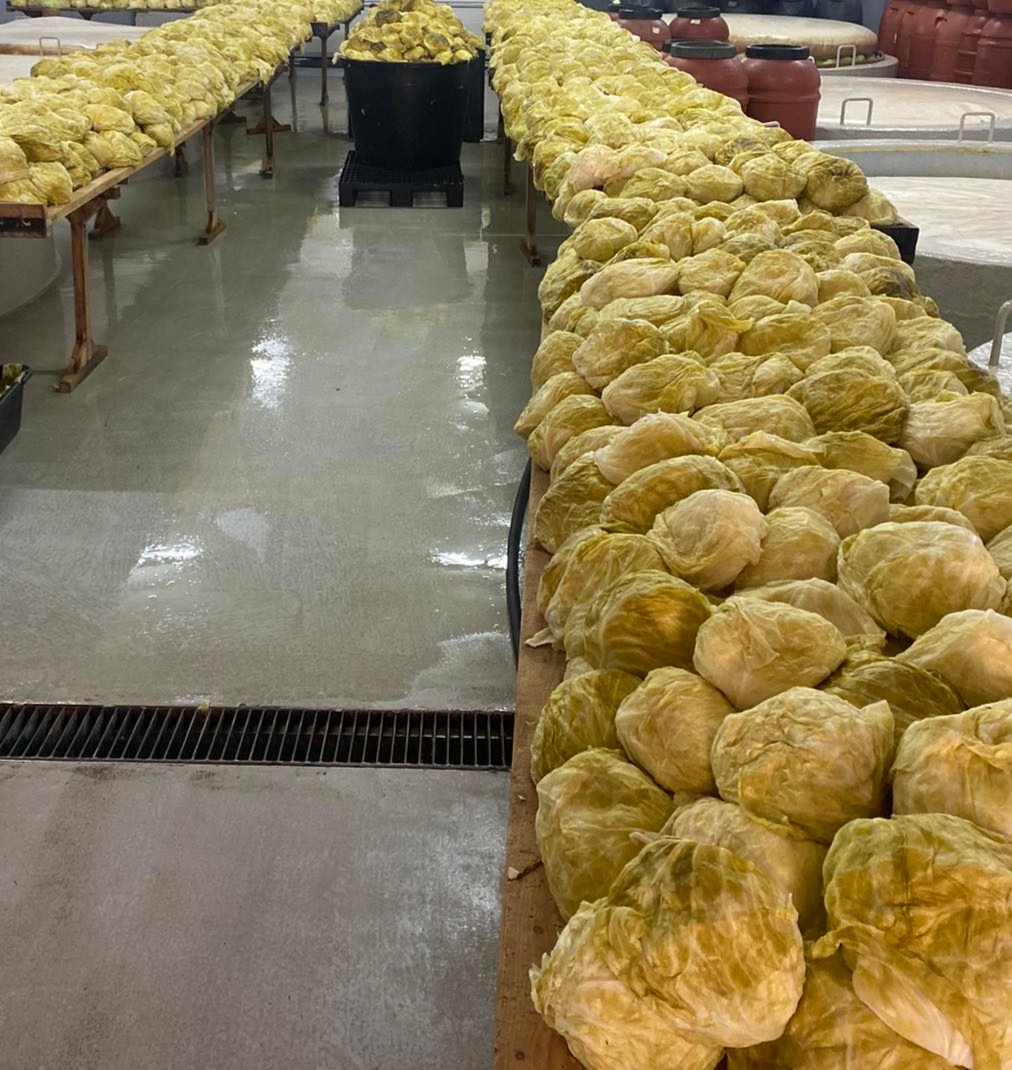 El tamaño de la cabeza es de 1,3 a 2,5 kg