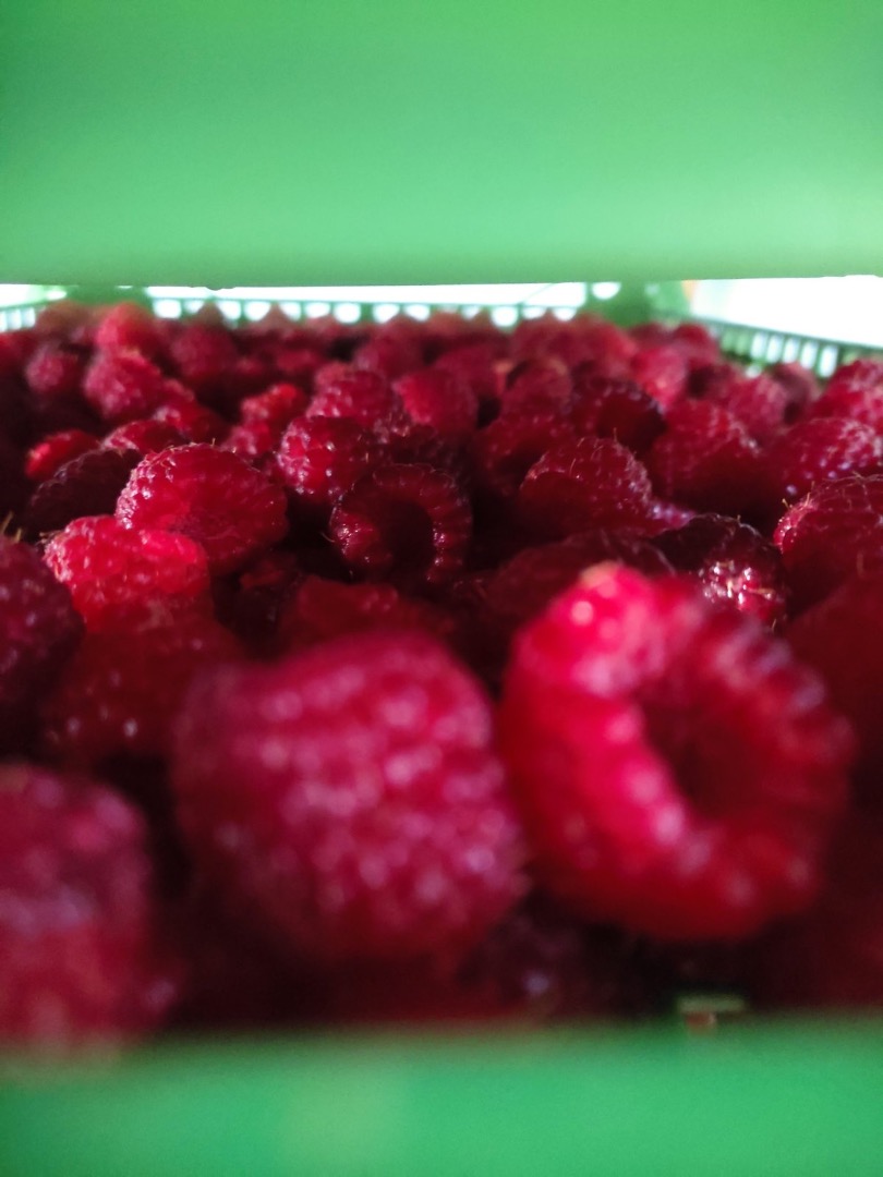 Estimado, Le ofrecemos frambuesas de primer nivel de nuestro propio cultivo