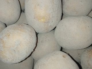 Venderé papas sabrosas para cocinar. Brindaré más información al