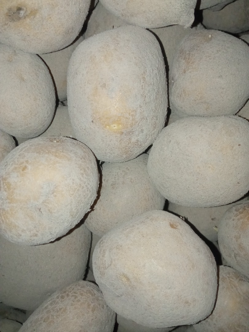 Venderé papas sabrosas para cocinar
