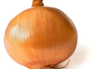¡Hola a todos! Busco comprar cebolla fresca para importación,