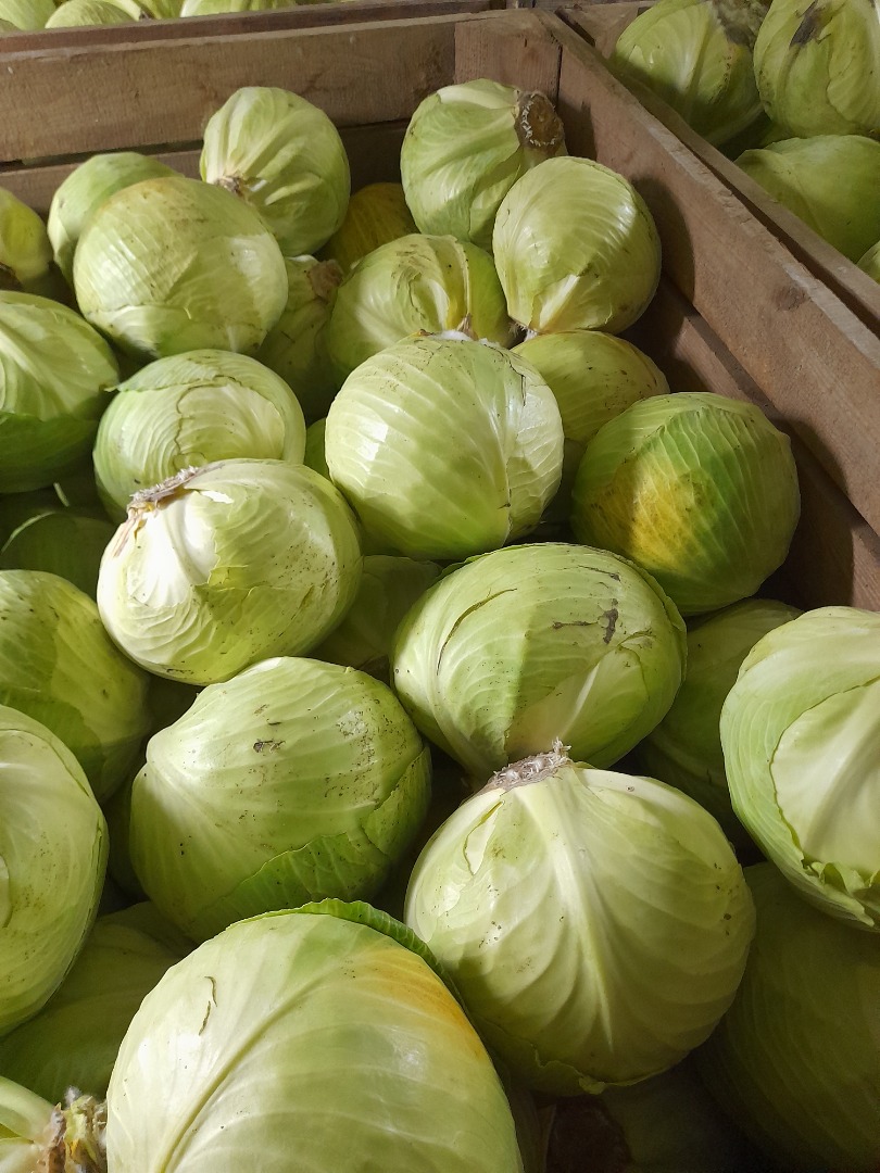 Vendo col blanca, calidad de mercado, calibre de 2 a 4 kg