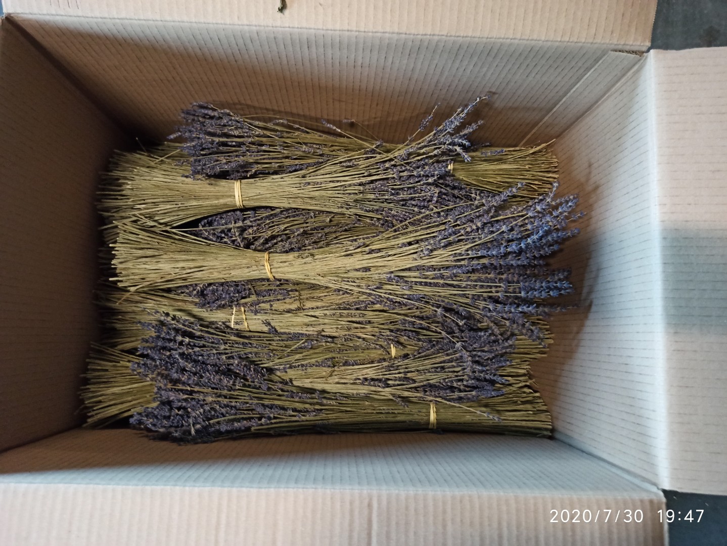 Ramos de lavanda secos palet cantidades