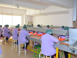 Ofrecemos avellana ecológica de alta calidad, limpia, sin cáscara.