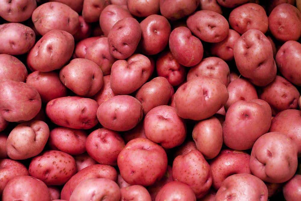 Compro patatas rojas en una cantidad mínima de 5 toneladas, con entrega a domicilio si es posible