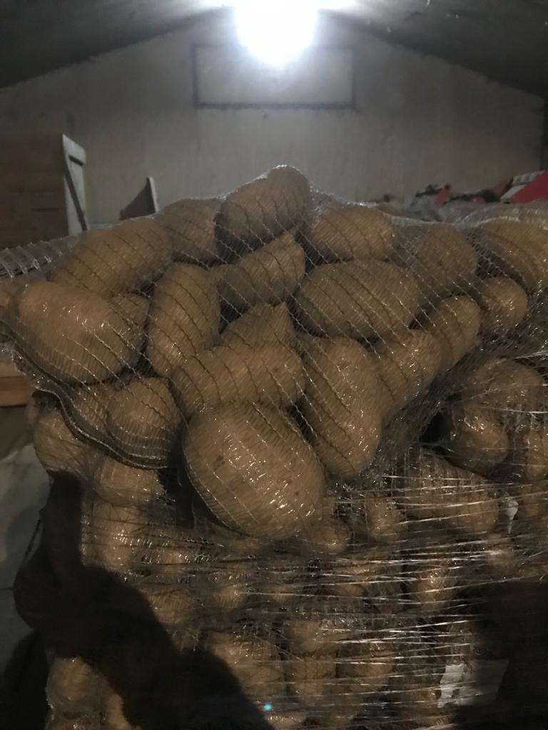 Vendo patatas importadas de Francia directamente del productor 50 plus en sacos de 10 kg