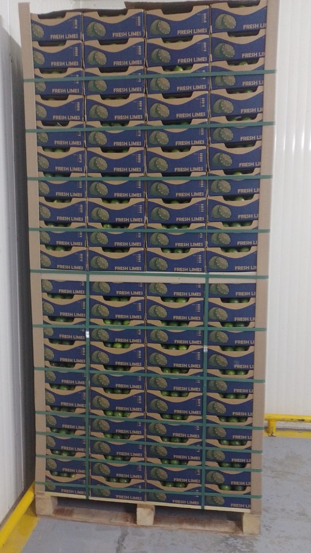 Lima Ácida Tahití Certificada Global Gap & Rainforest Alliance, presentación 4 Kg Caja