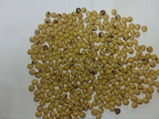 Unique Product sp. z o. o. con sede en