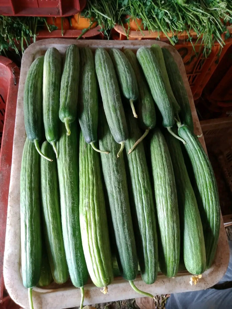 Pepinos