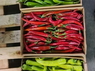 Variedad de colores de chile: verde, rojo, amarillo.