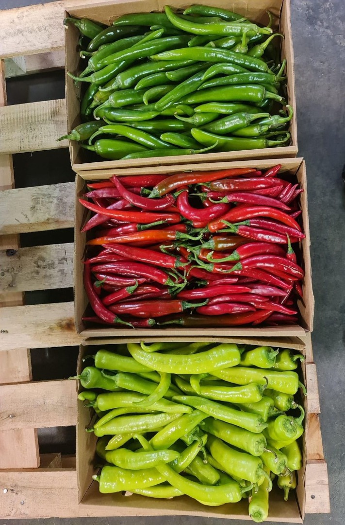 Variedad de colores de chile: verde, rojo, amarillo