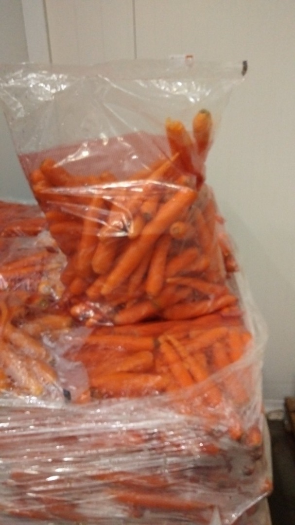 Zanahorias de primera clase, origen Serbia, paquete de 5 kg
