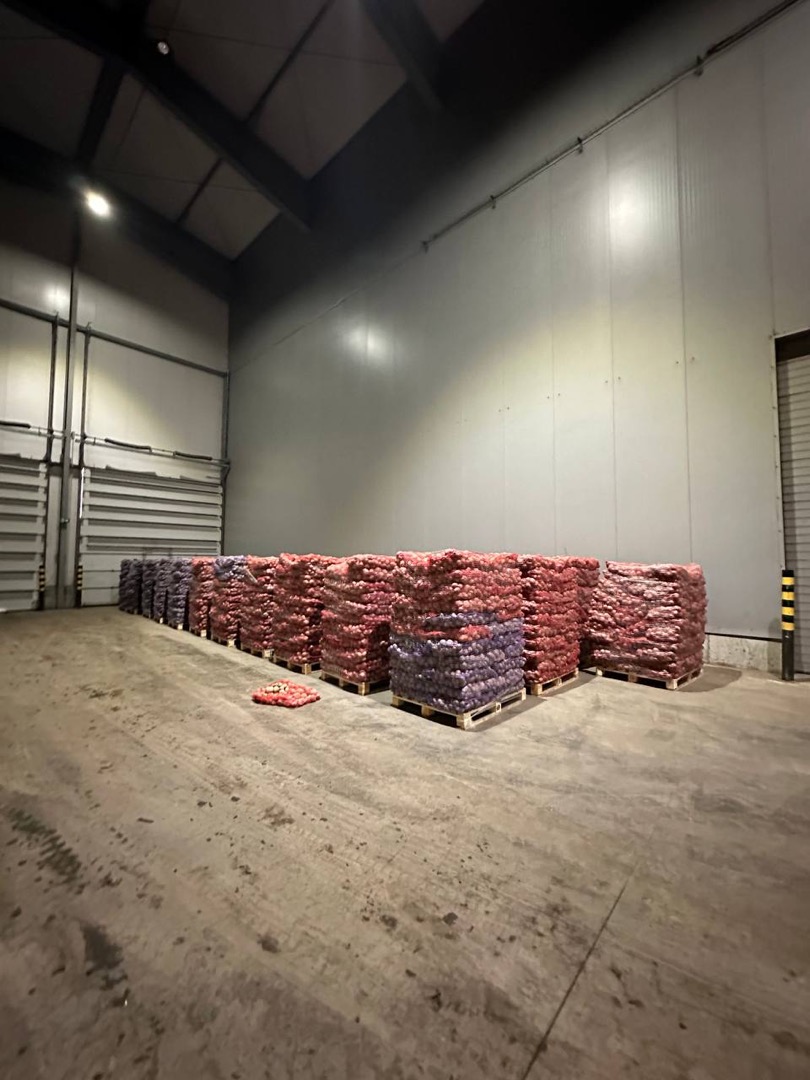 Hola a todos, la granja vende volúmenes de papas ucranianas de grado alimenticio 1 (producto orgánico)