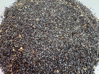 Semillas de amapola azul de origen búlgaro, pureza 98%