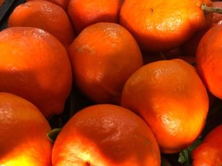 Las mejores y más dulces naranjas... todas frescas del