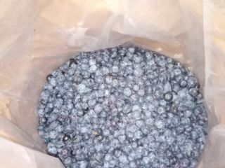 La empresa fabricante de arándanos de jardín ofrece frutos