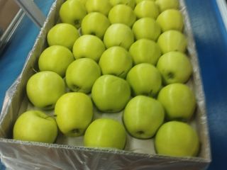 Manzana Golden delicious I clase para salle. contacto