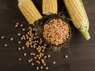 Hola, Somos un productor de cereales de Ucrania. Tenemos