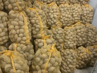 Venderé papa Soraya 50+, un buen producto comercial saludable