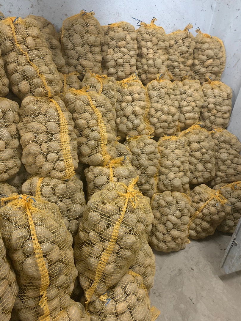 Venderé papa Soraya 50+, un buen producto comercial saludable en sacos de 15 kg, posibilidad de preparar más en palets