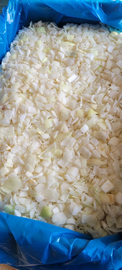 Venderé cubos de cebolla congelada 10x10 en una caja de 10 kg - Egipto