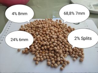 Somos una empresa productora y procesadora agrícola en Bulgaria