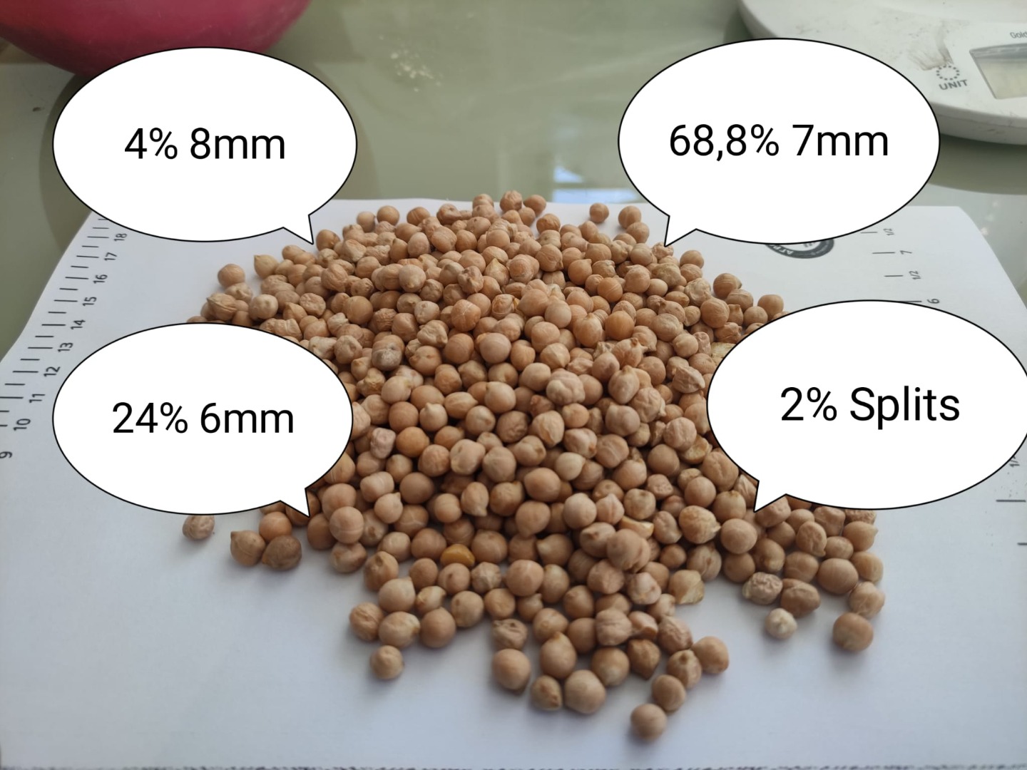 Somos una empresa productora y procesadora agrícola en Bulgaria y llevamos más de diez años en el negocio de los garbanzos