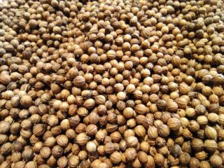 Somos una empresa productora y procesadora agrícola en Bulgaria