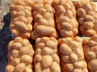 Vendo papas en saco de 10 kg.. mas detalles